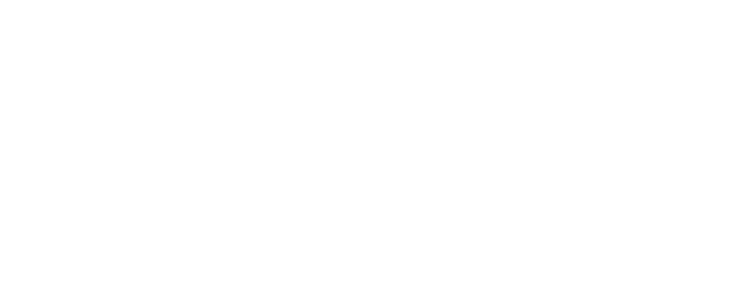 Magnus Capital