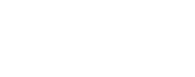 Everse Capital